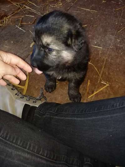 Das erste Foto-Beitrag-Bild