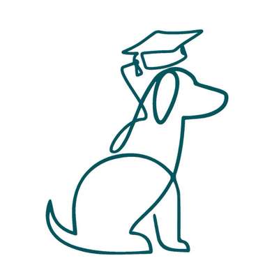 Hundeschulen-Hundeschule Tierisch Clever-Bild