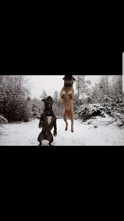 Challenge Nr. 15
Spiel im Schnee-Beitrag-Bild