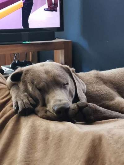 Die unbequemsten und lustigsten Schlafpositionen-Beitrag-Bild