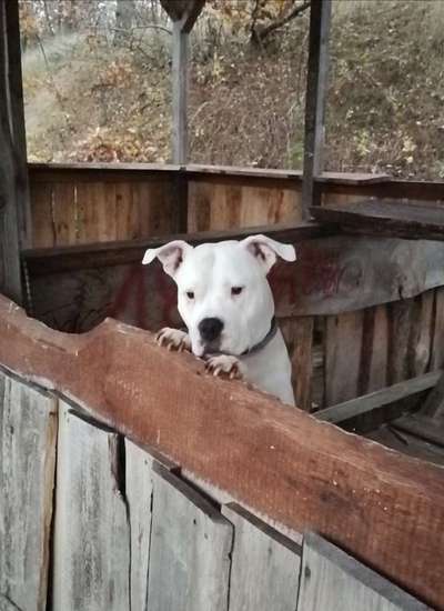 Lieblingsbild-Beitrag-Bild