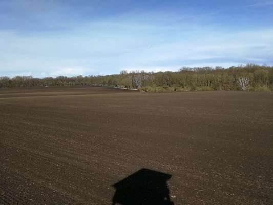 Die wunderschöne Welt mit Hund.-Beitrag-Bild