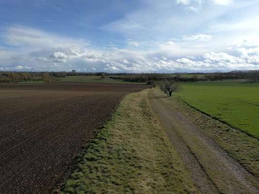 Die wunderschöne Welt mit Hund.-Beitrag-Bild