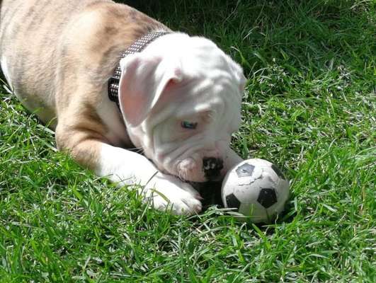 Foto Challenge 82-Beitrag-Bild