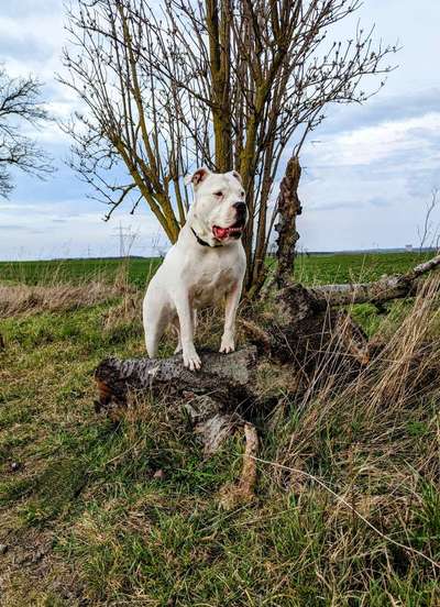 Handy Foto Challenge Nr. 49: Mein Freund der Baum-Beitrag-Bild