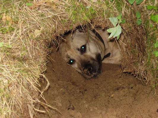 Lieblingsbild-Beitrag-Bild