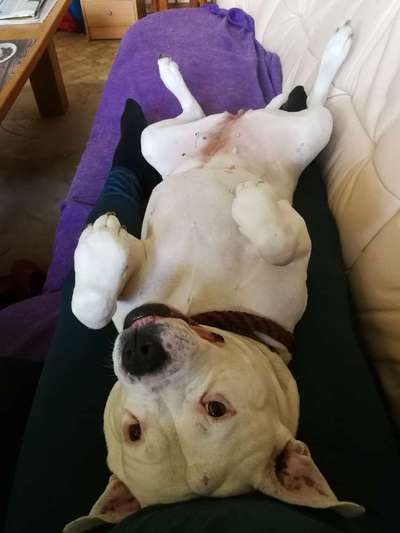 FOTO-Challenge  NR. 91: Die pure Entspannung-Beitrag-Bild