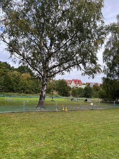 Hundetreffen-Gassirunden, Spieltreffen, Hundeplatz mit Geräten und eigener Nutzung.-Bild