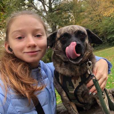 Hundetreffen-Spielen lernen-Profilbild