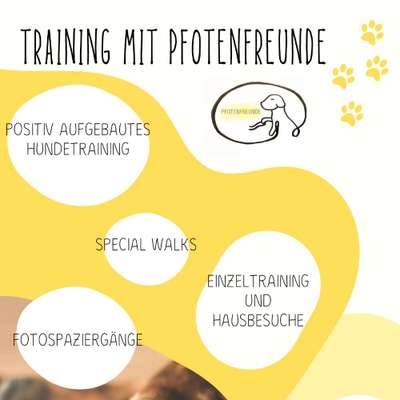 Hundeschulen-Pfotenfreunde-Bild