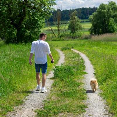 Giftköder-Foto-Spaziergang-Bild