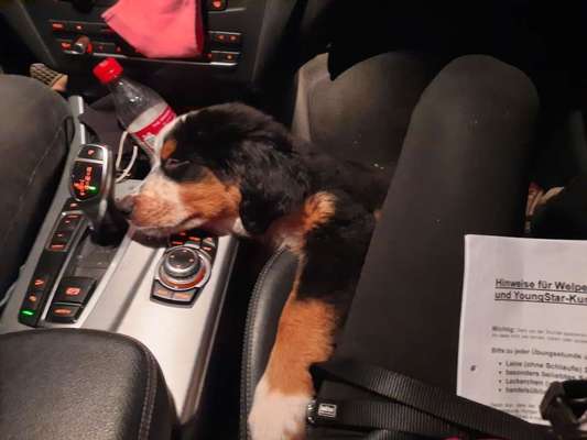 CHALLENGE NR. 18 - ON TOUR-Beitrag-Bild