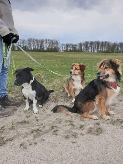 Foto Challenge Nr. 79-Beitrag-Bild