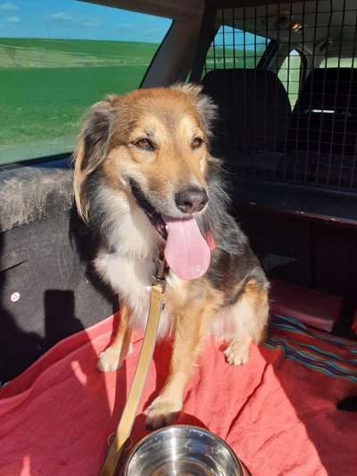 Foto Challenge Nr. 79-Beitrag-Bild