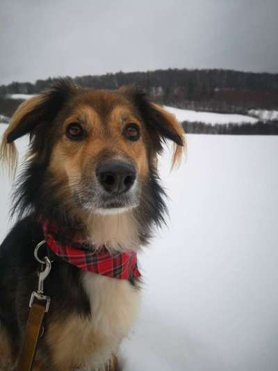 Schnee Foto-Beitrag-Bild