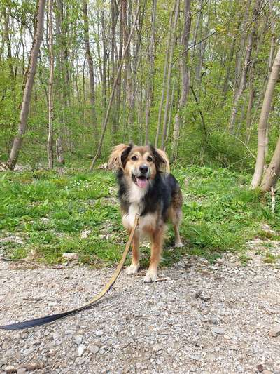 Fotowettbewerb Natur-Beitrag-Bild