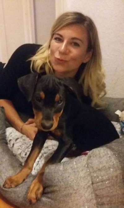 Wo sind die Dobis?-Beitrag-Bild