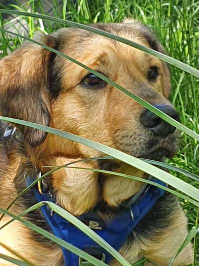 Theos  Fotochallenge Nummer 2-Beitrag-Bild