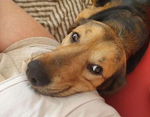 Handy-Foto Challange Nr. 10-Beitrag-Bild