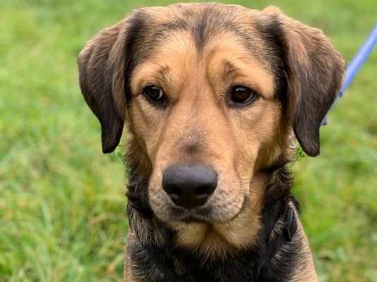 Fotochallange Nr. 57     PORTRÄT.   Beendet!!!!!!!!-Beitrag-Bild