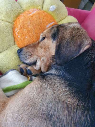 FOTO-Challenge  NR. 91: Die pure Entspannung-Beitrag-Bild