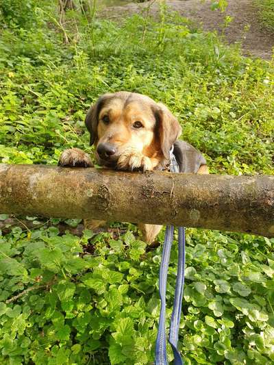 Foto Challenge Nr. 79-Beitrag-Bild