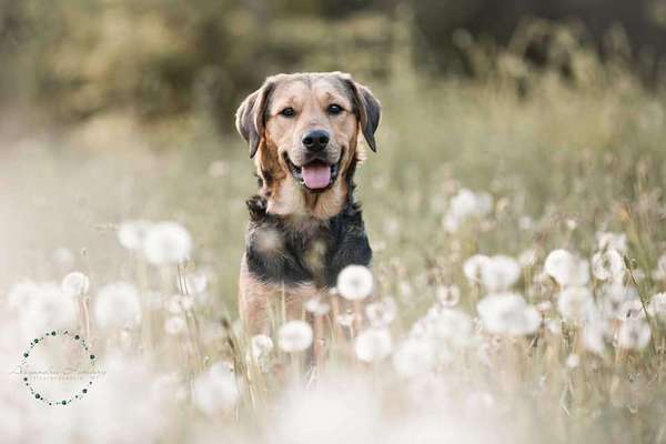 Fotowettbewerb Natur-Beitrag-Bild