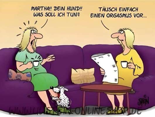 Hunde Memes-Beitrag-Bild