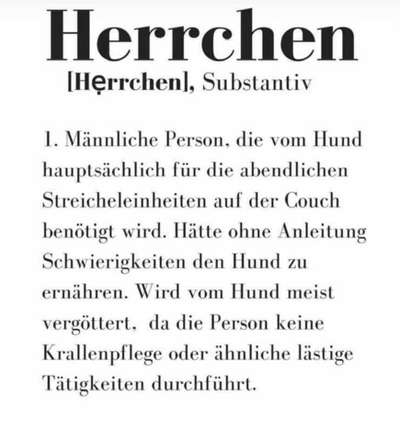 Hunde Memes-Beitrag-Bild