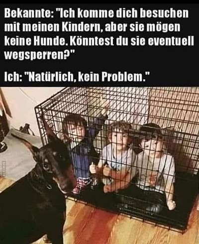 Hunde Memes-Beitrag-Bild