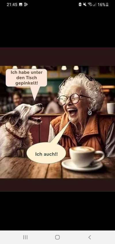 Hunde Memes-Beitrag-Bild