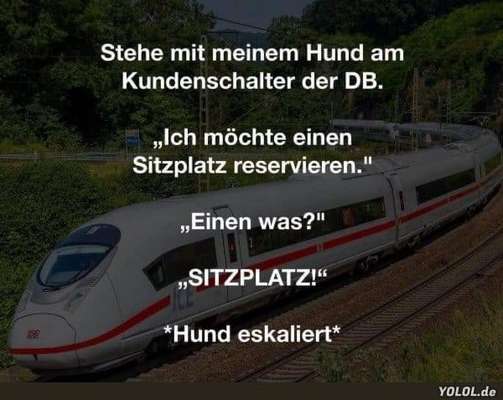 Hunde Memes-Beitrag-Bild