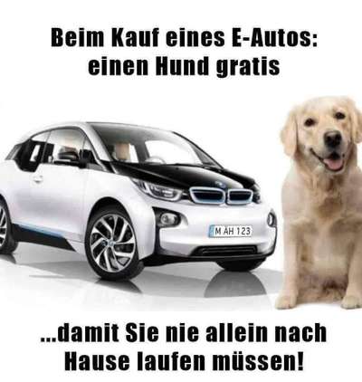 Hunde Memes-Beitrag-Bild