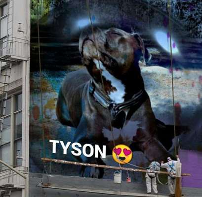 Dein Hund im Dogorama-Kalender 2021-Beitrag-Bild