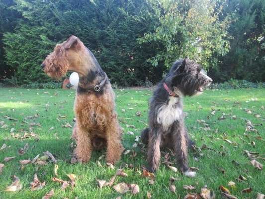 Fotochallenge Nr. 67: Euer Lieblingsbild-Beitrag-Bild