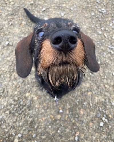 Fotochallenge Nr. 67: Euer Lieblingsbild-Beitrag-Bild