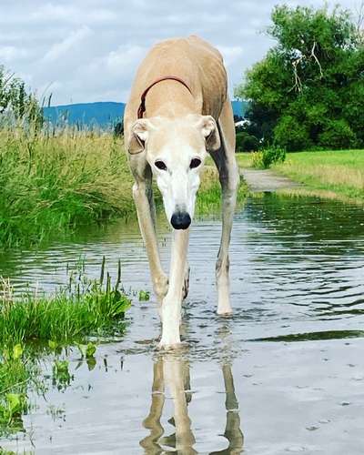 Fotochallenge Nr. 67: Euer Lieblingsbild-Beitrag-Bild