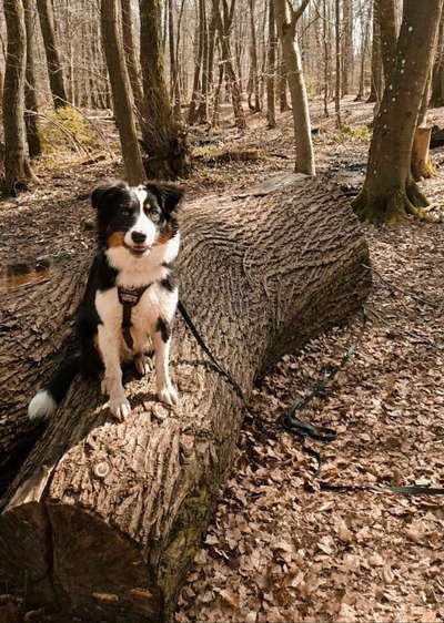 Foto Challenge Nr. 79-Beitrag-Bild