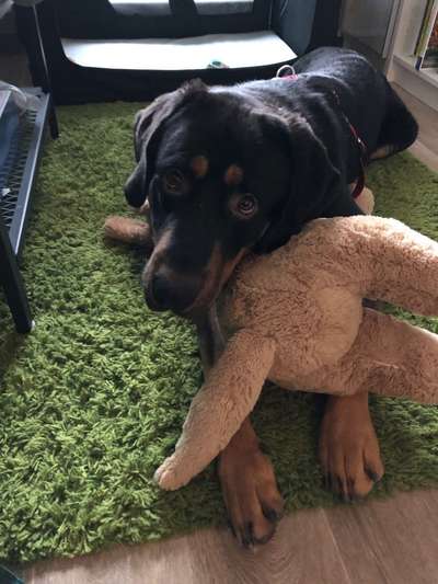 Fotochallenge Nr. 67: Euer Lieblingsbild-Beitrag-Bild