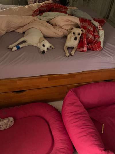 Erfolgsgeschichten gesucht-Beitrag-Bild