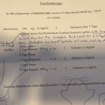 Es sind Einzeller 2 im Kot-Beitrag-Bild