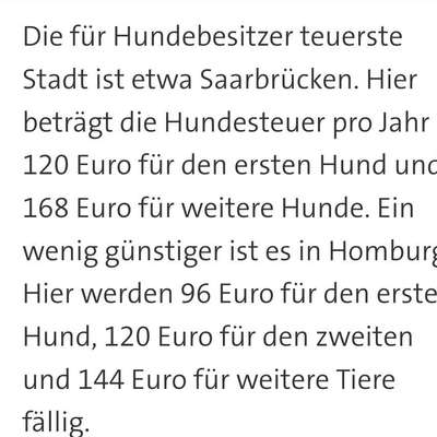 Trennung vom Partner-Beitrag-Bild