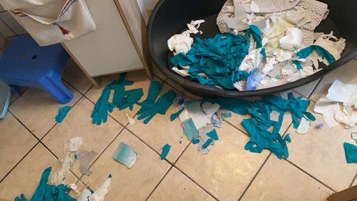 Zeig mir, dass du mit einem hund zusammenlebst....-Beitrag-Bild