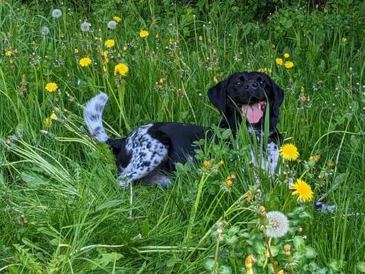 Immer lächeln !-Beitrag-Bild