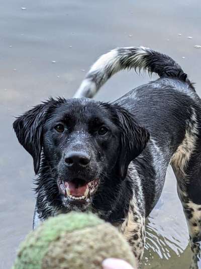 Lieblingsbild-Beitrag-Bild