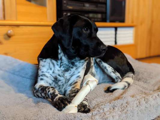 Lieblingsbild-Beitrag-Bild