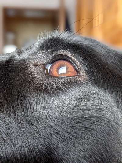 Lieblingsbild-Beitrag-Bild