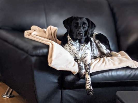 Lieblingsbild-Beitrag-Bild