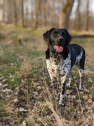 Ist das ein...?-Beitrag-Bild