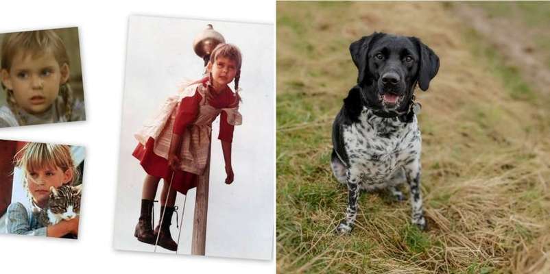 Wie heißt dein Hund?-Beitrag-Bild